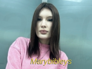 Marybibleys