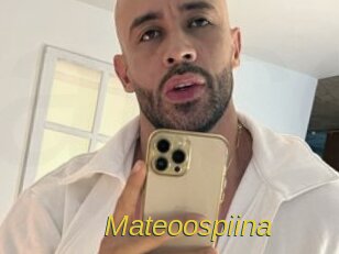 Mateoospiina