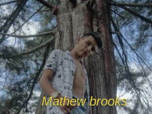 Mathew_brooks