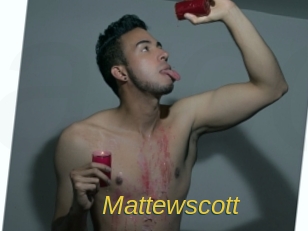mattewscott Archive DVD ORG