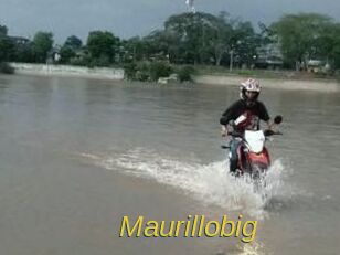 Maurillobig