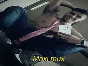 Maxi_mux