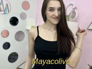mayacolive Archive DVD ORG