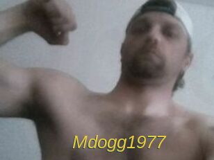 Mdogg1977