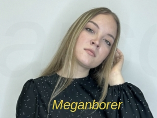 Meganborer