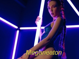 meganeaton Archive DVD ORG