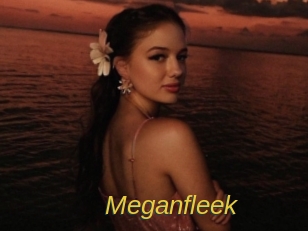 Meganfleek