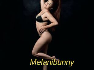 Melanibunny