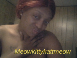 Meowkittykattmeow