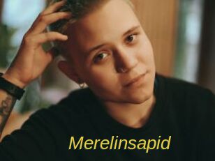 Merelinsapid