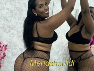 meridahadidi Archive DVD ORG