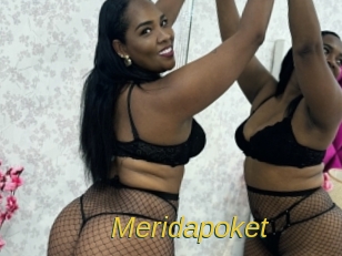 Meridapoket