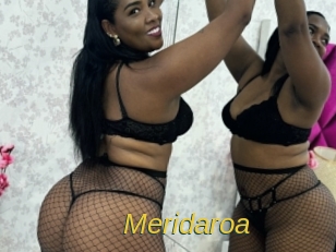 Meridaroa