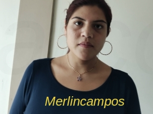 Merlincampos