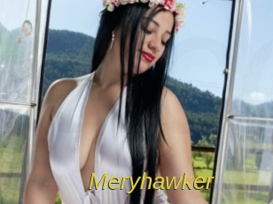 meryhawker Archive DVD ORG