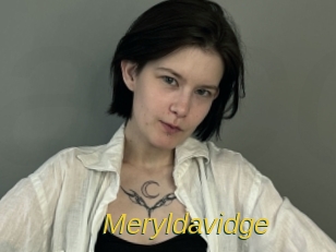 Meryldavidge