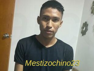 Mestizochino23