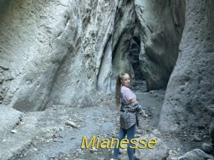 mianesse Archive DVD ORG