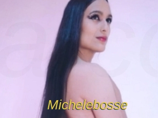 Michelebosse