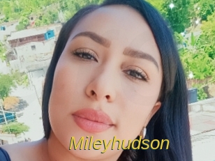 Mileyhudson