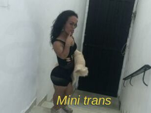 Mini_trans