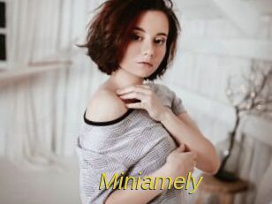 Miniamely