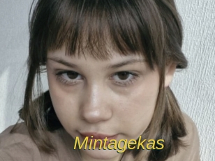 Mintagekas
