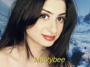 mintybee Archive DVD ORG
