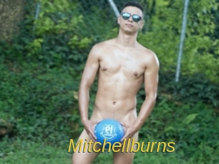 Mitchellburns