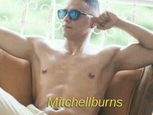 Mitchellburns