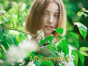 mollieevans Archive DVD ORG