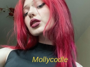 Mollycodle