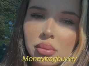 Moneybagbunny