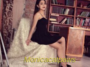 Monicacatpaws