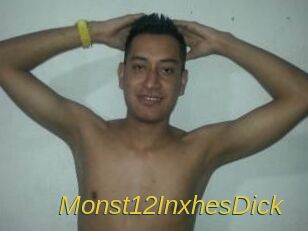 Monst12InxhesDick
