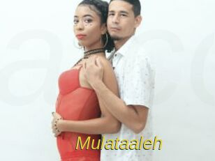 Mulataaleh