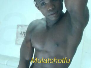 Mulatohotfu
