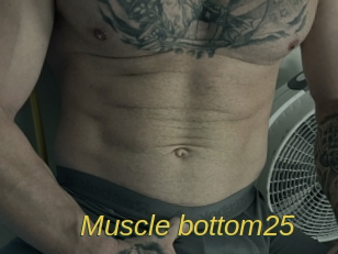 Muscle_bottom25