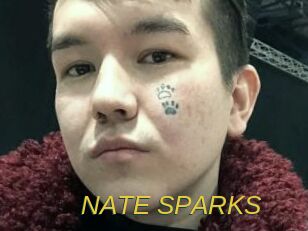 NATE_SPARKS