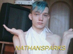 NATHAN_SPARKS