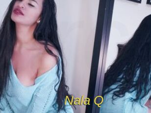 Nala_Q