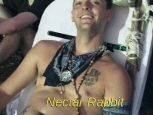 Nectar_Rabbit