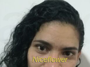 Nice_flower