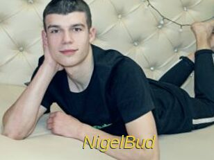 NigelBud