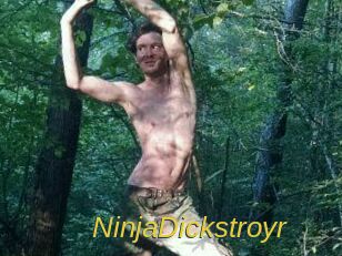 NinjaDickstroyr