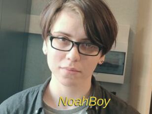 NoahBoy