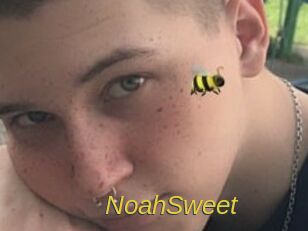 NoahSweet