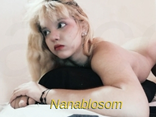 Nanablosom