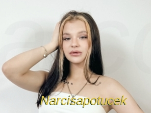 Narcisapotucek