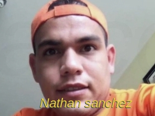 nathan_sanchez Archive DVD ORG